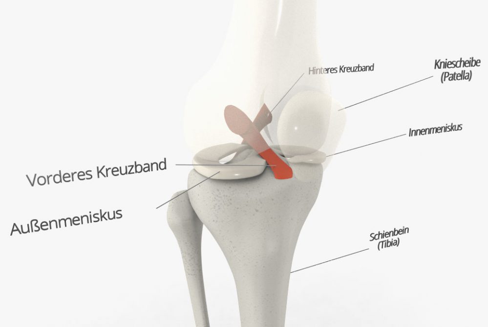 Schmerzen im Knie: Kreuzband