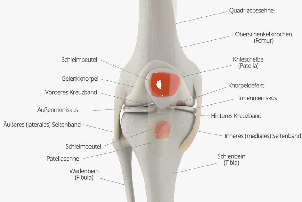 Schmerzen im Knie: Schleimbeutel